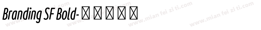 Branding SF Bold字体转换